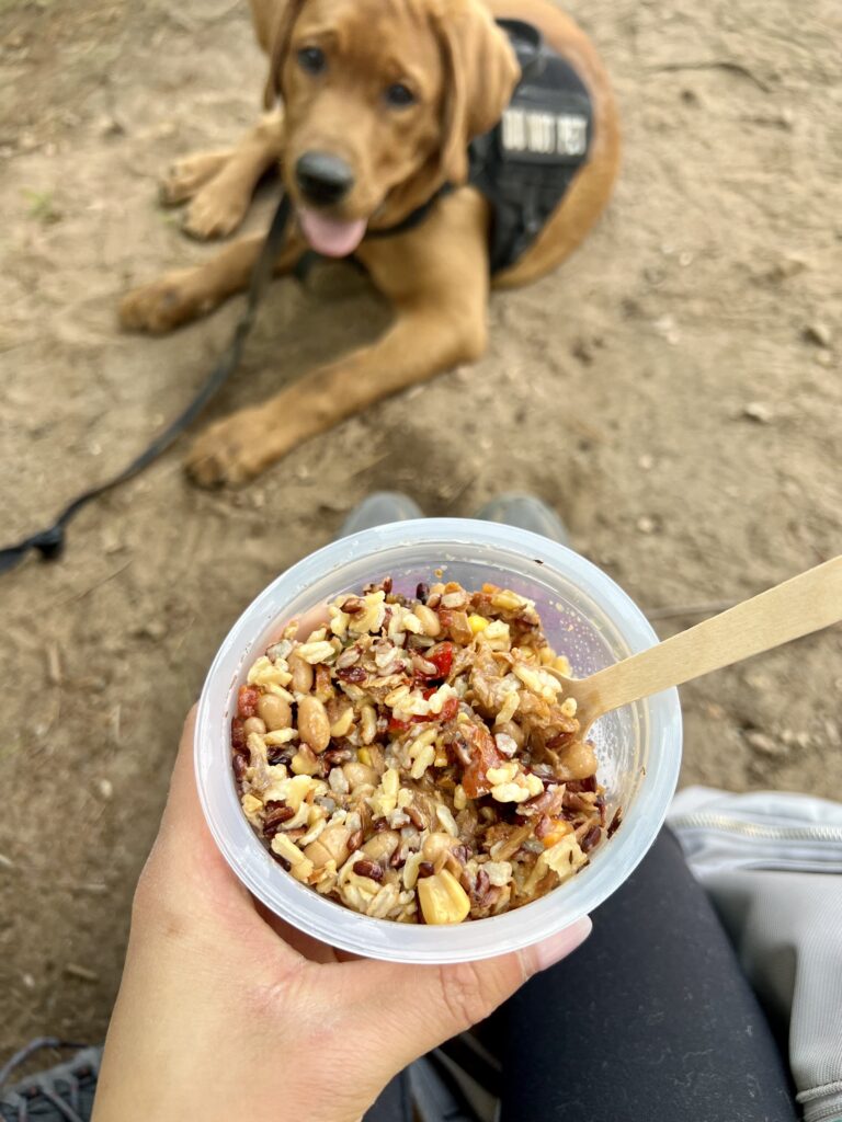 A candid photo of a bowl of tuna and rice.